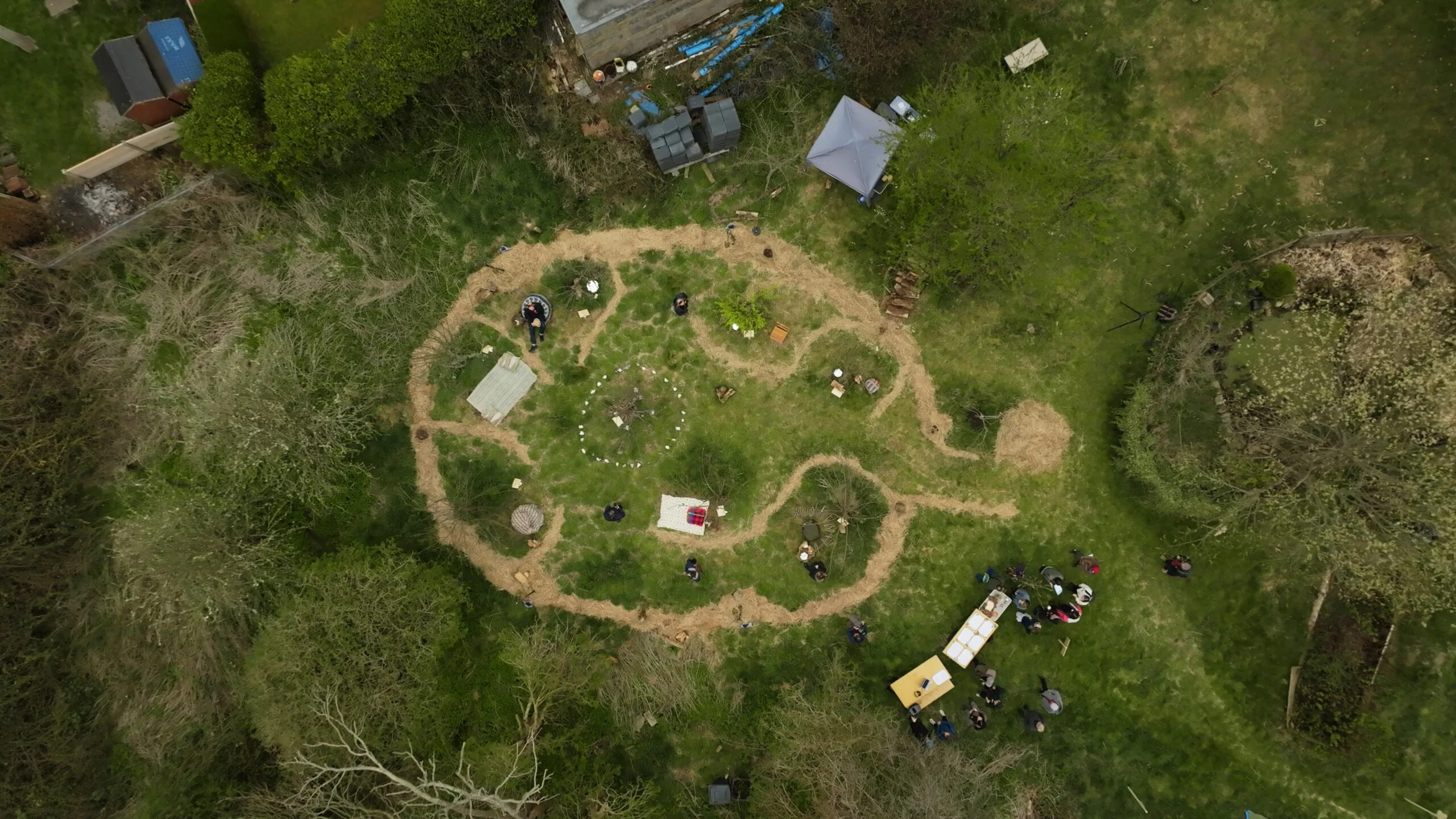 A top-down view of a roughly circular area containing multiple trees, with people in headphones walking around.